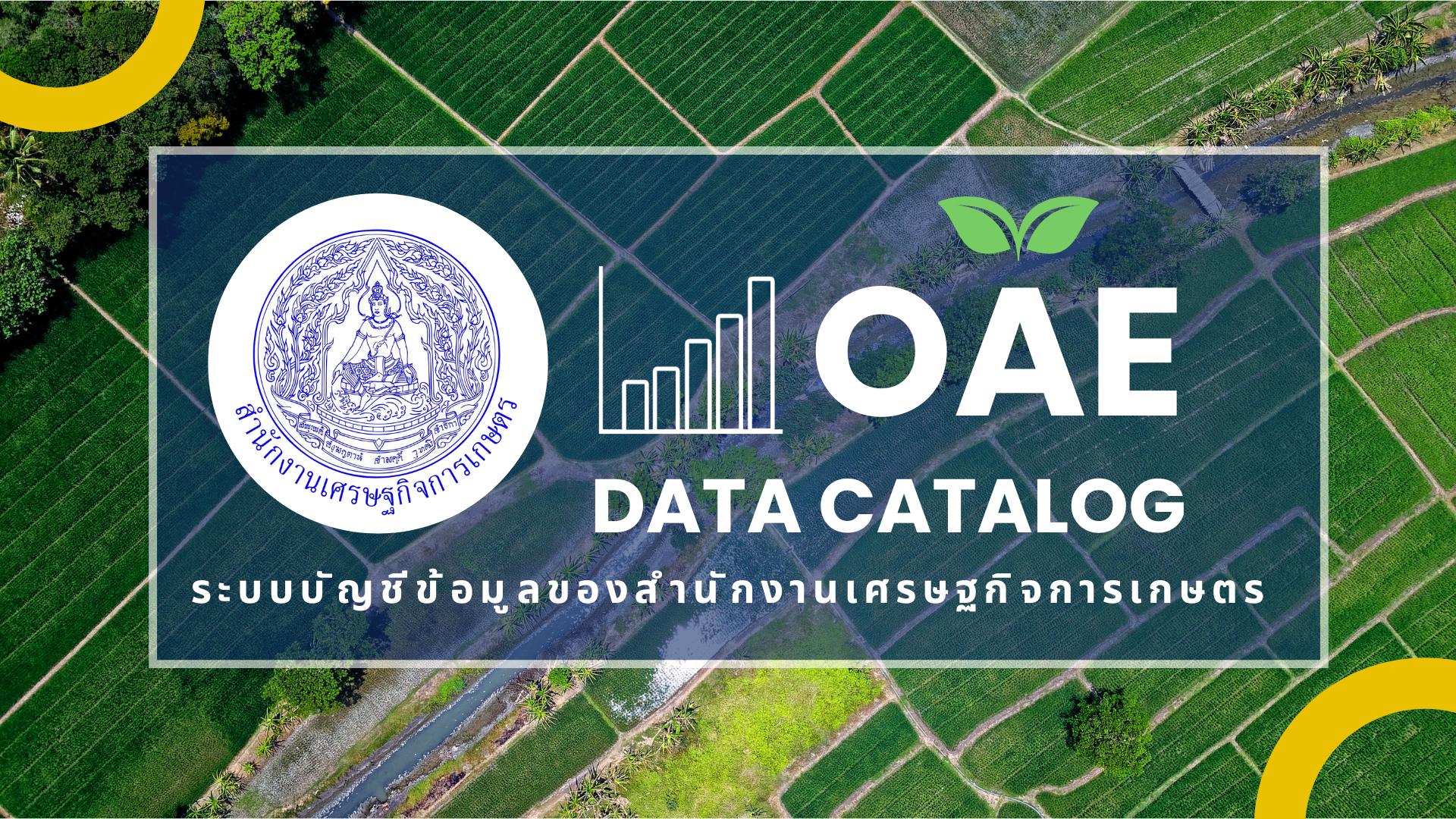 Agency Catalog promote banner